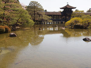 20110414_924shuusei.jpg