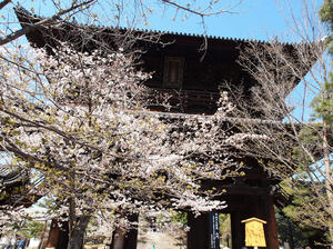 20110414_939shuusei.jpg