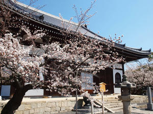 20110414_944shuusei.jpg