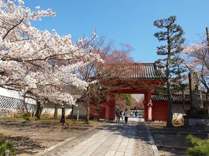 20110414_949shuusei.jpg