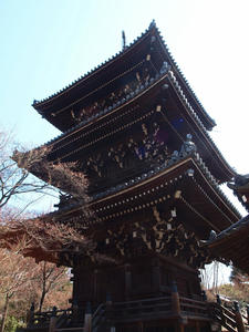 20110414_952shuusei.jpg