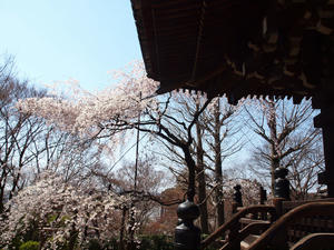 20110414_955shuusei.jpg