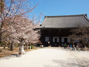 20110414_960shuusei.jpg