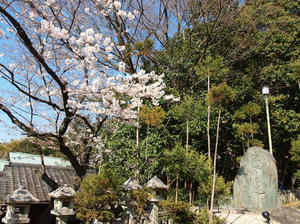 20110414_985shuusei.jpg