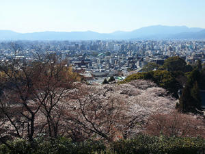 20110414_994shuusei.jpg