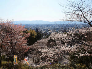 20110414_1001shuusei.jpg