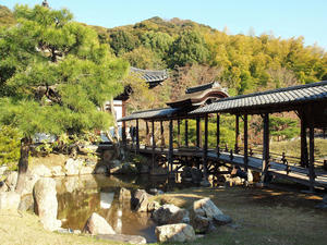 20110414_1017shuusei.jpg