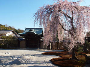 20110414_1019shuusei.jpg