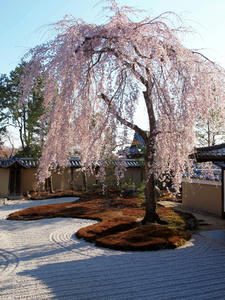 20110414_1024shuusei.jpg