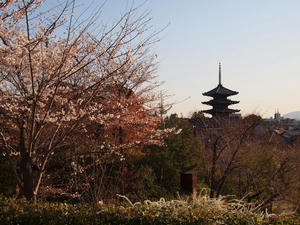 20110414_1053shuusei.jpg