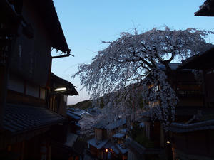 20110414_1090shuusei.jpg