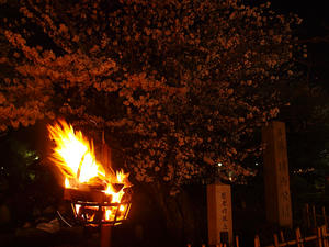 20110414_1150shuusei.jpg