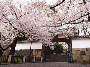 20110414_1168shuusei.jpg