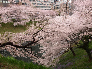 20110414_1171shuusei.jpg