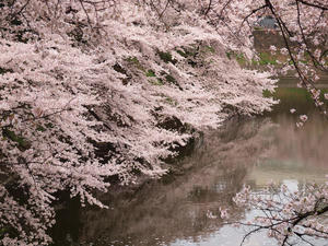 20110414_1174shuusei.jpg