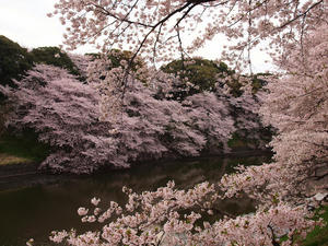 20110414_1179shuusei.jpg