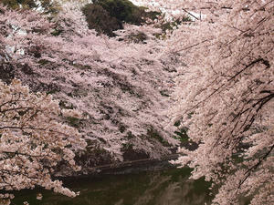 20110414_1182shuusei.jpg