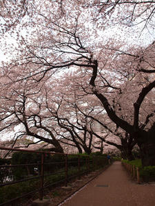 20110414_1189shuusei.jpg