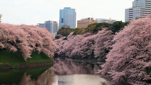 20110414_1195shuusei.jpg