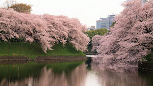 20110414_1202shuusei.jpg