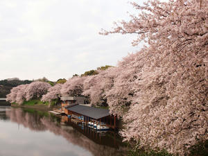 20110414_1240shuusei.jpg