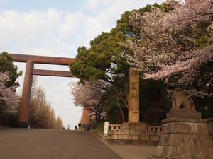 20110414_1251shuusei.jpg