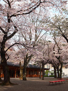 20110414_1294shuusei.jpg