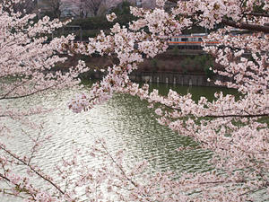 20110414_1322shuusei.jpg