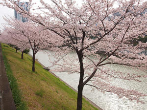 20110414_1324shuusei.jpg