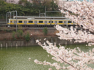 20110414_1327shuusei.jpg