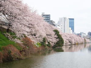 20110414_1337shuusei.jpg