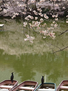 20110414_1347shuusei.jpg