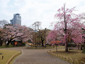 20110414_1351shuusei.jpg