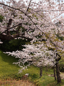 20110414_1387shuusei.jpg