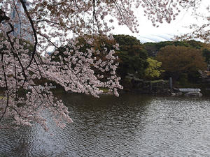 20110414_1390shuusei.jpg