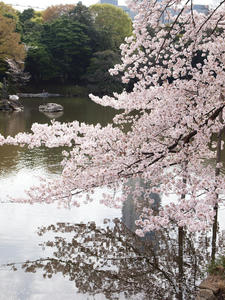 20110414_1354shuusei.jpg