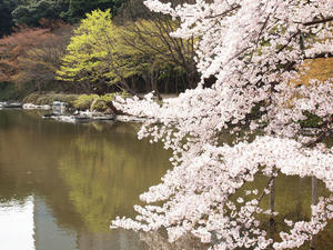 20110414_1356shuusei.jpg