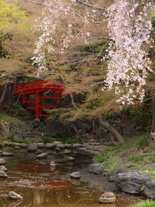 20110414_1392shuusei.jpg