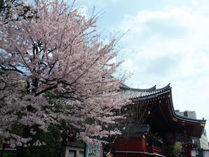 20110414_1413shuusei.jpg