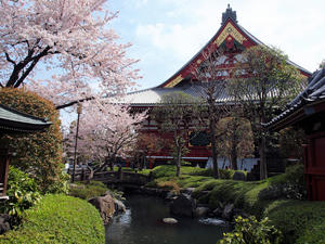 20110414_1415shuusei.jpg