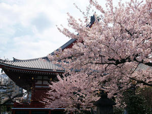 20110414_1417shuusei.jpg