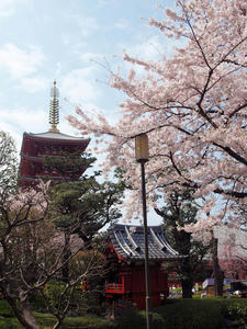 20110414_1419shuusei.jpg