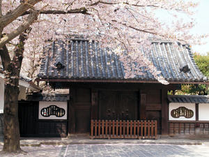 20110414_1439shuusei.jpg