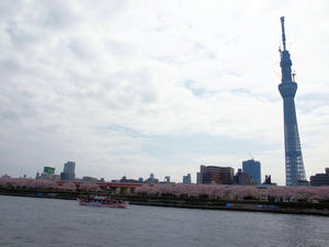 20110414_1460shuusei.jpg