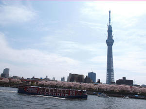 20110414_1469shuusei.jpg