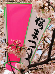 20110414_1477shuusei.jpg