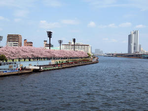 20110414_1484shuusei.jpg