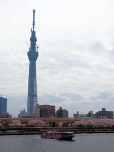 20110414_1486shuusei.jpg