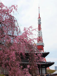 20110414_1516shuusei.jpg