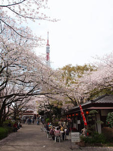 20110414_1525shuusei.jpg